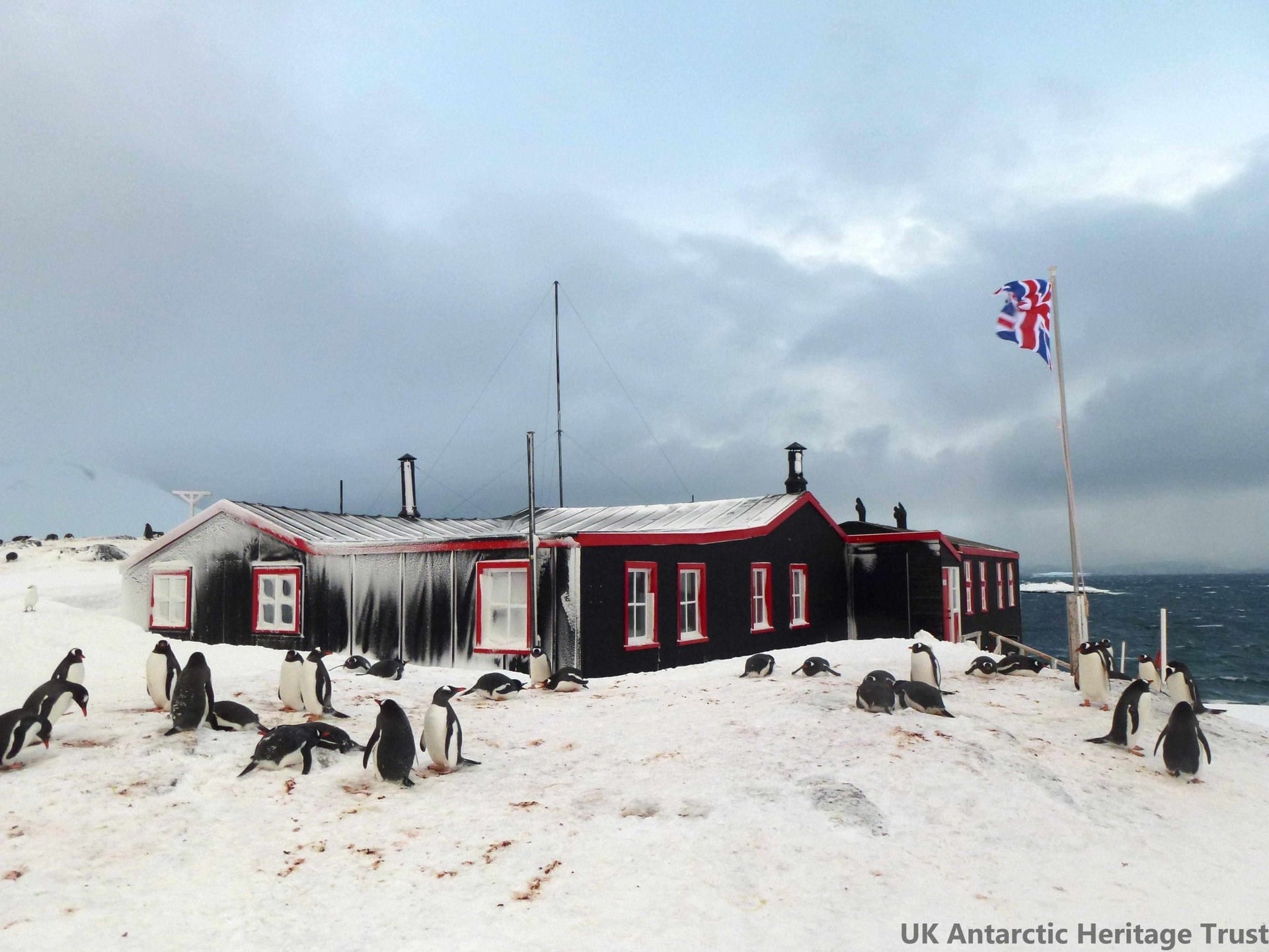 Postcards From The Penguin Post Office - Cambridge Satchel