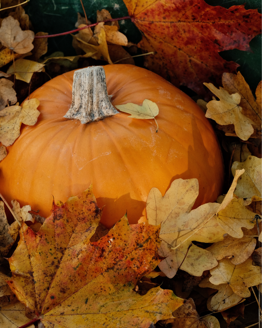 Which Halloween Personality Type are You?