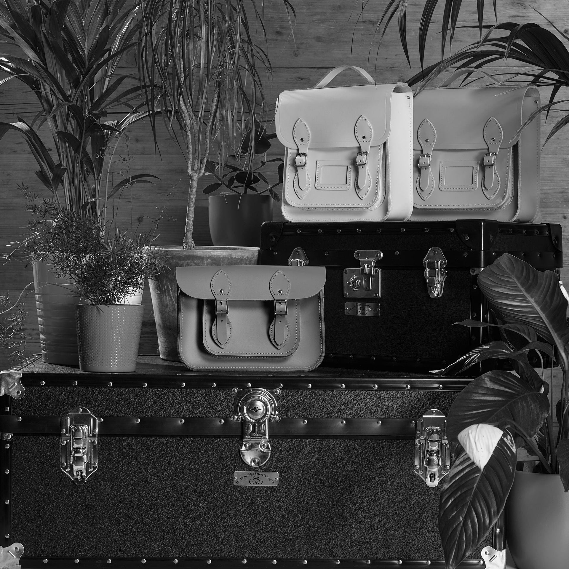 Coming soon in April 2022 - Cambridge Satchel