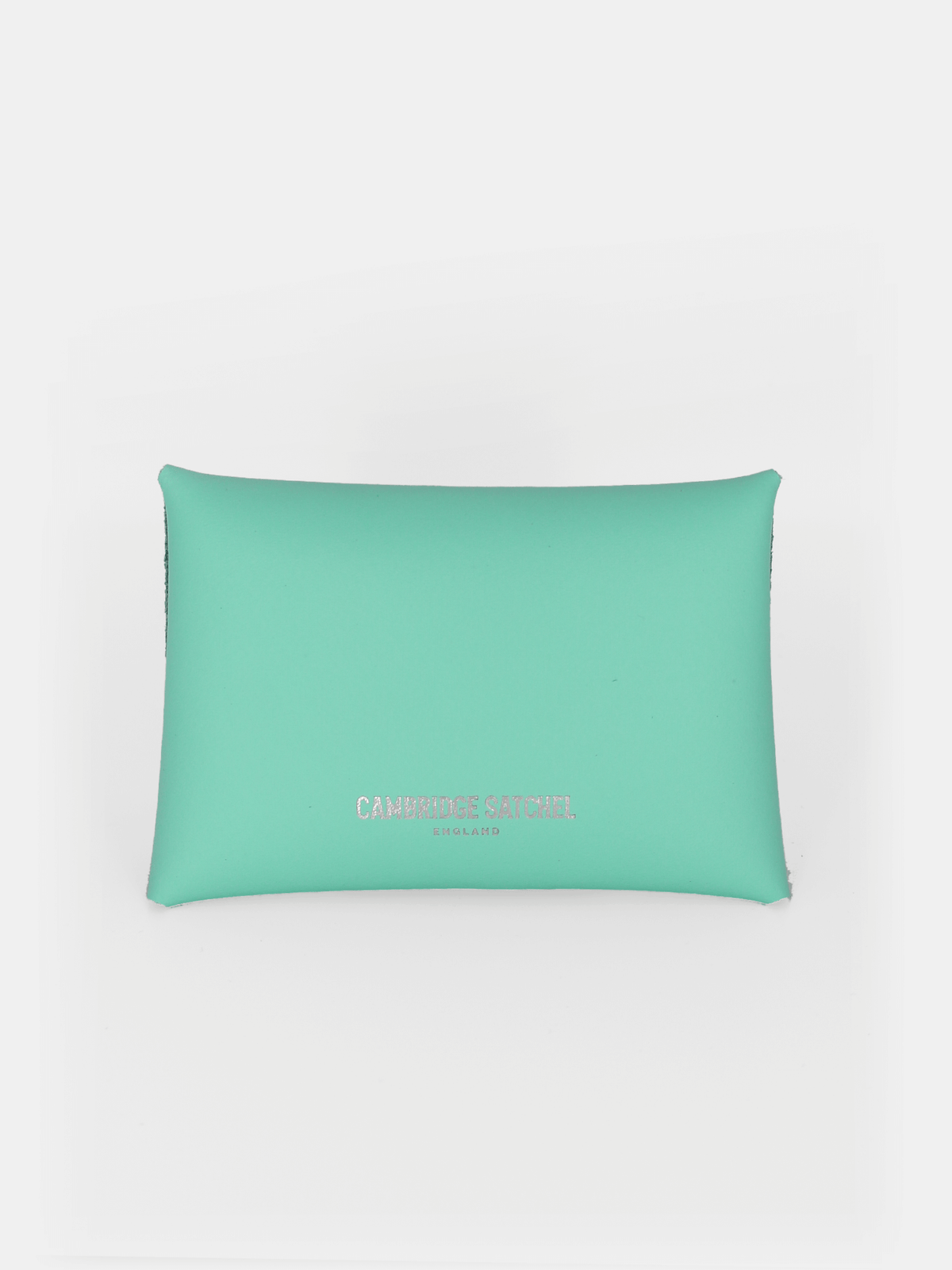 The Mini Purse - Peppermint