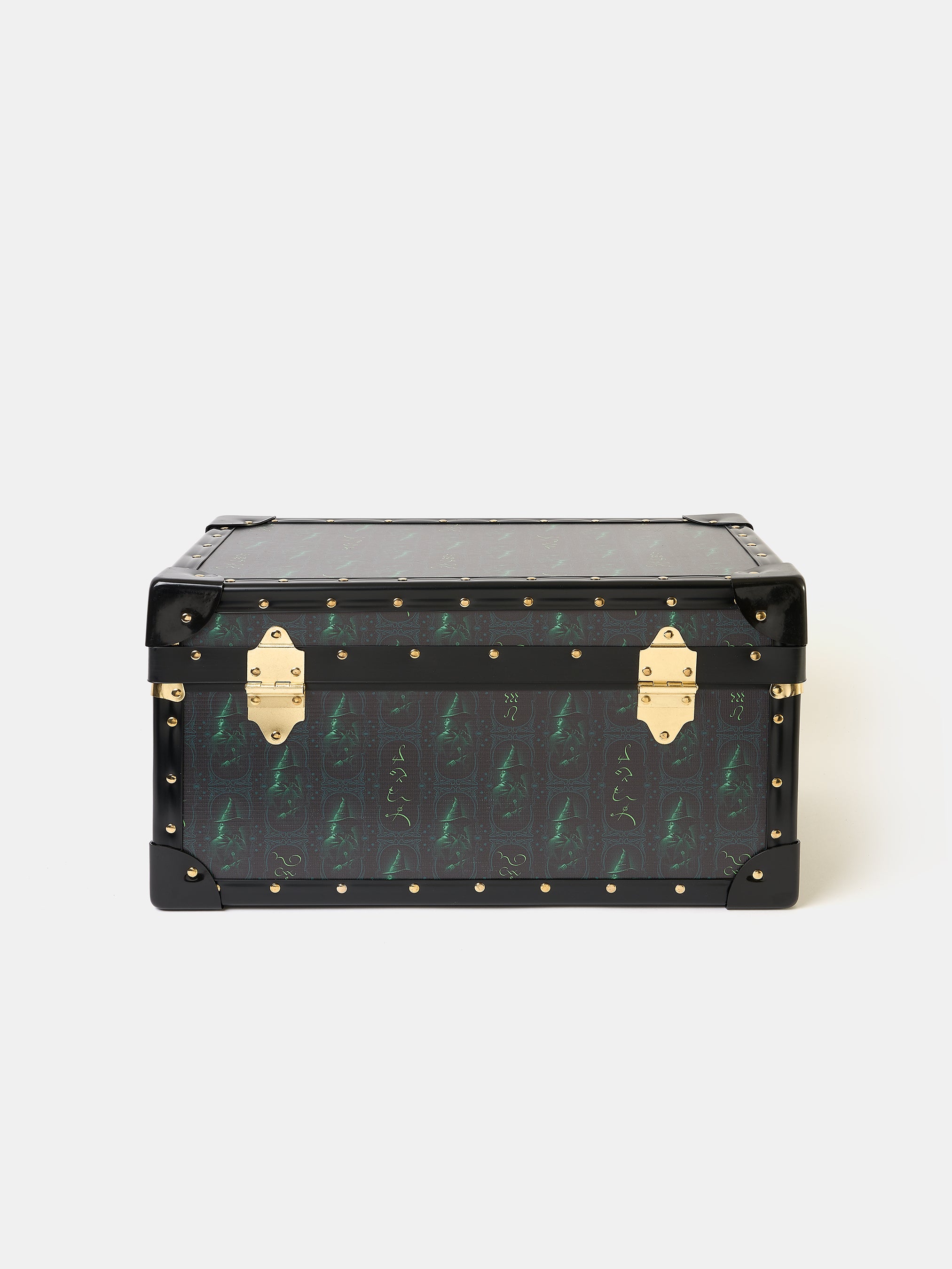 The Treasure Trunk - Black with Elphaba Repeat Print