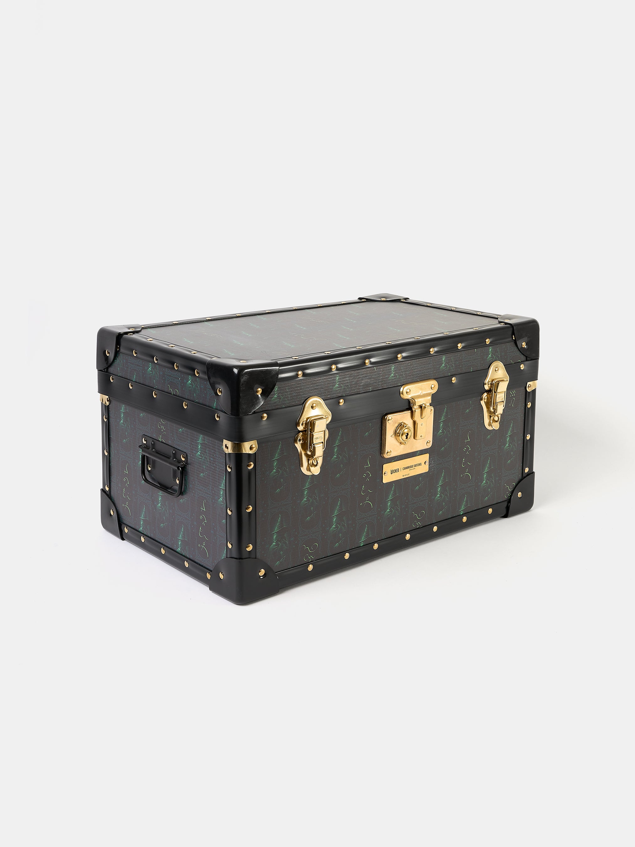 The Treasure Trunk - Black with Elphaba Repeat Print