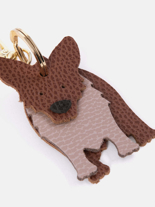 The Corgi - Bay Celtic Grain, Biscuit Celtic Grain & Black Celtic Grain